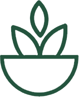 "When you surround yourself with plants, you surround yourself with life, beauty and energy." Leaf & Stem